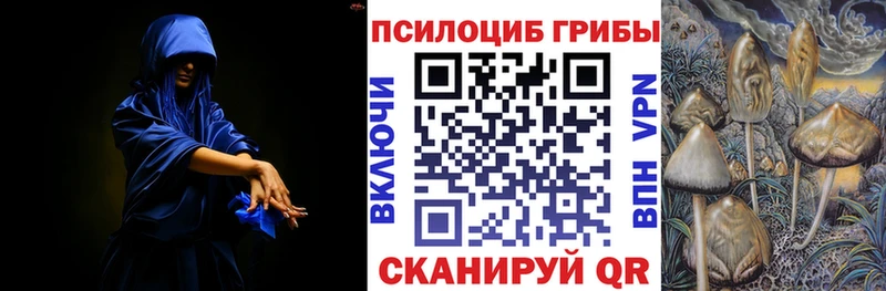 магазин продажи наркотиков Наволоки Псилоцибиновые грибы мицелий